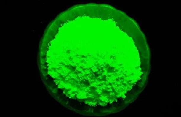 核辐射死掉了多少人,核辐射死亡真实事情