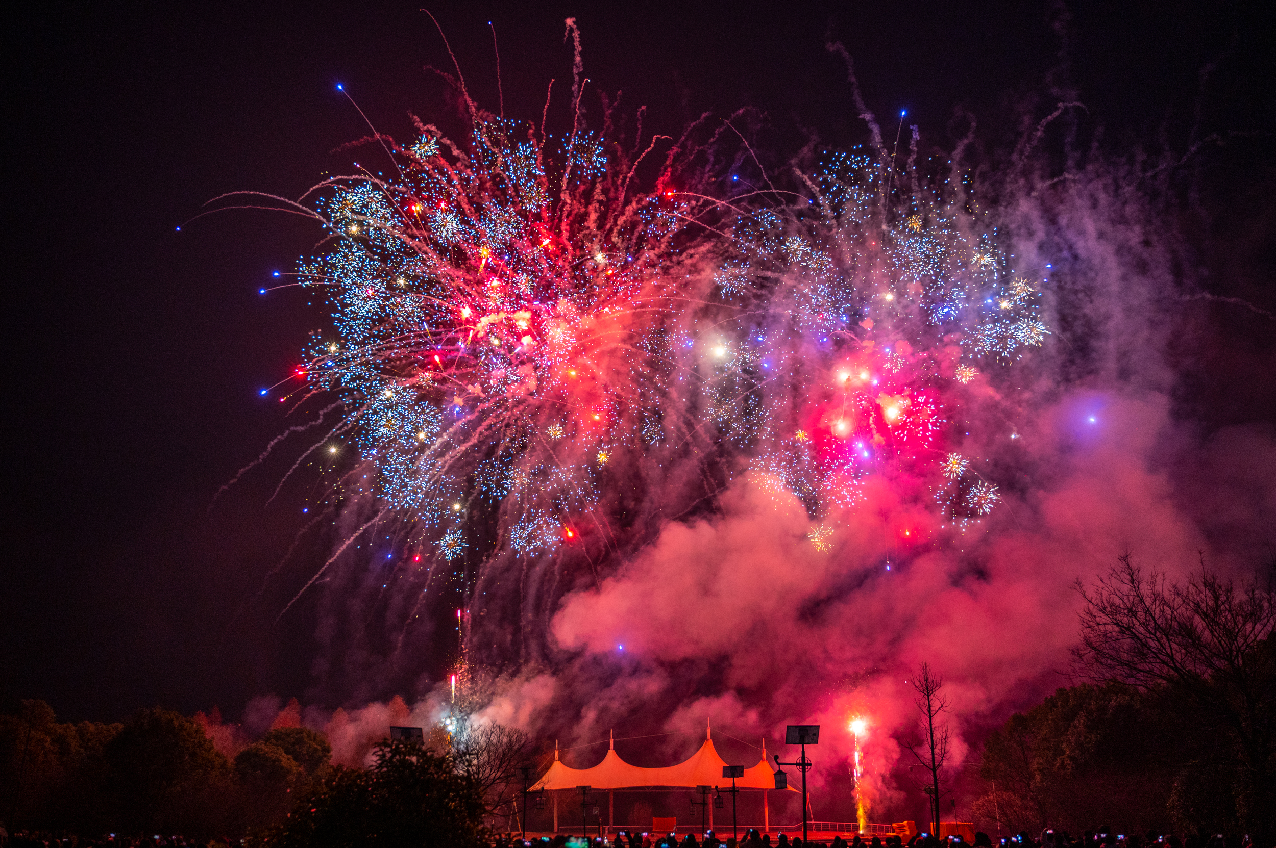 金陵梅花山,南京梅花山赏梅