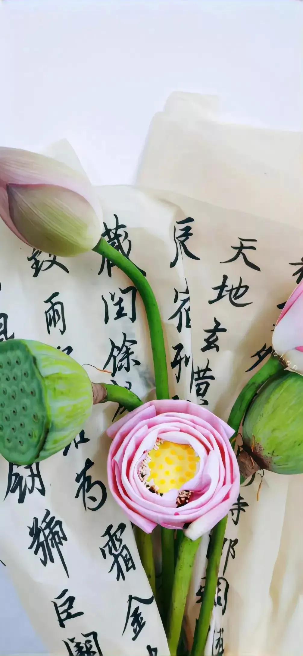 高清壁纸图片全屏干净高级,男士专用黑色美女全屏壁纸