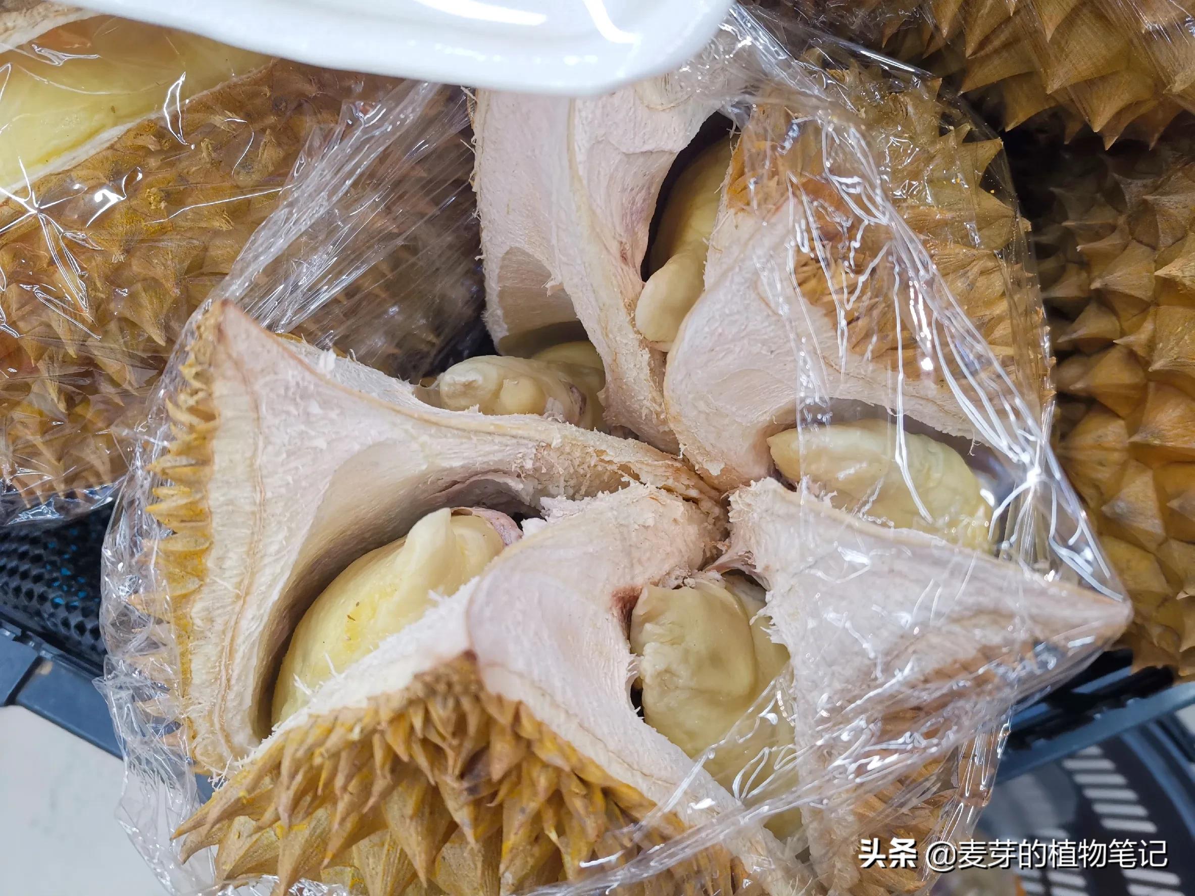 有一等臭果，番名赌尔焉