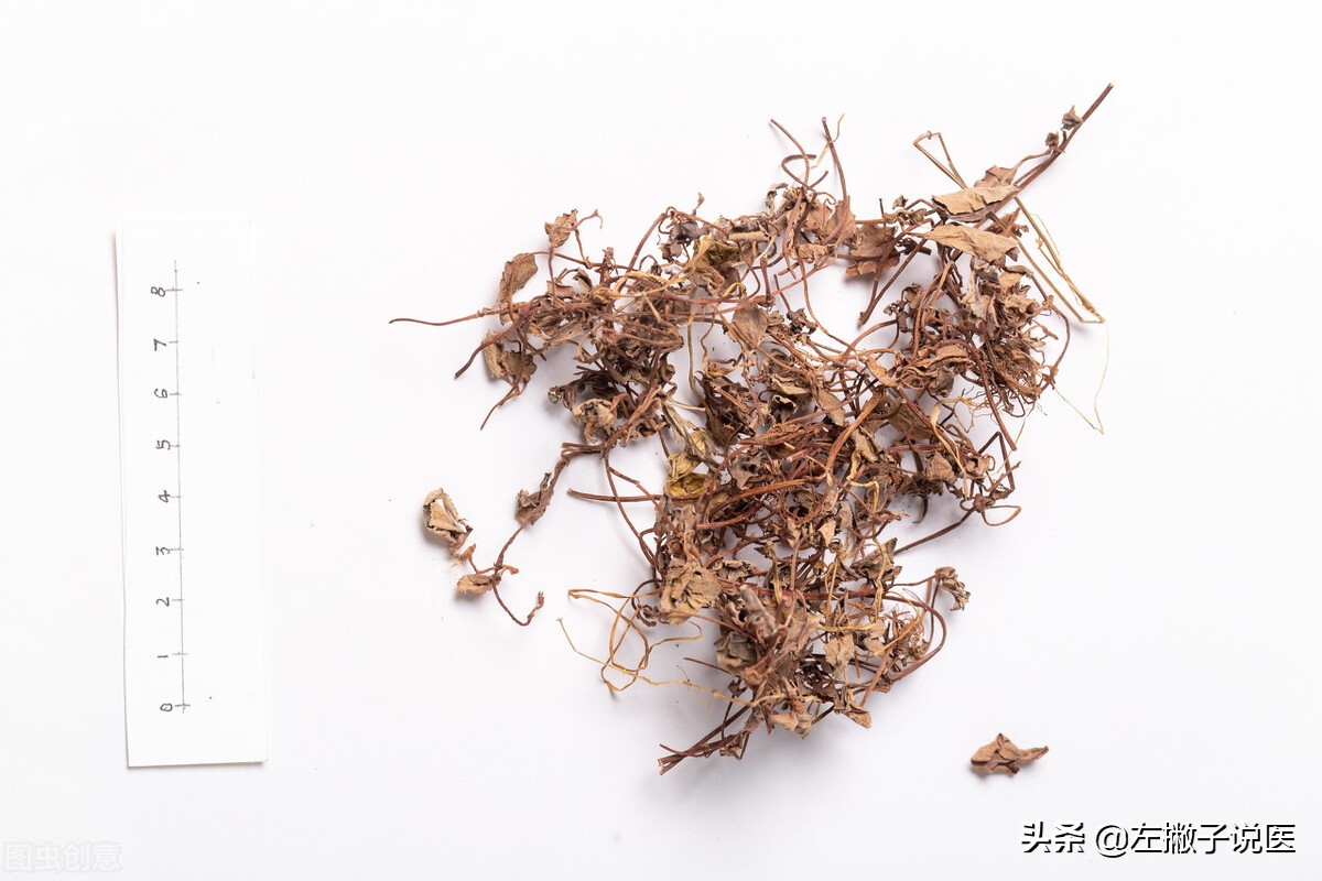 金钱草海金沙鸡内金治结石效果,金钱草海金沙鸡内金治结石