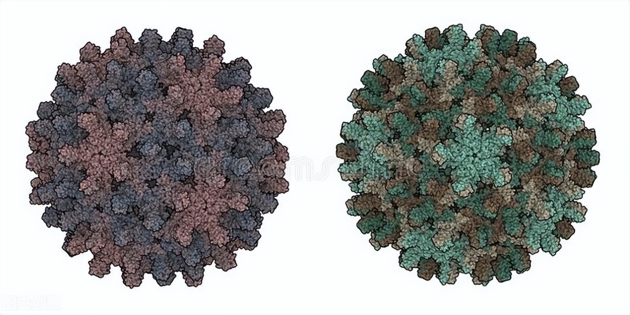 攻克乙肝中药最新突破,乙肝最新秘方
