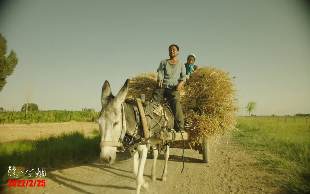春节虎年大片,虎年科普影片