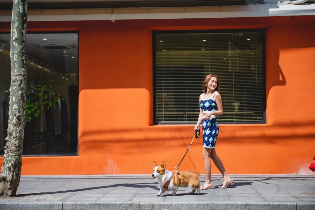 魔都宠物天地,魔都周边宠物友好景区
