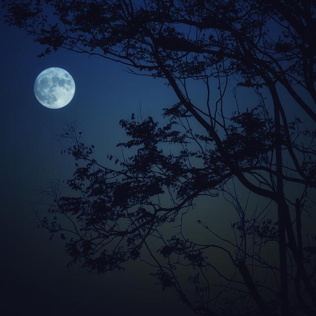 月亮的比喻句,月亮的比喻句大全100字