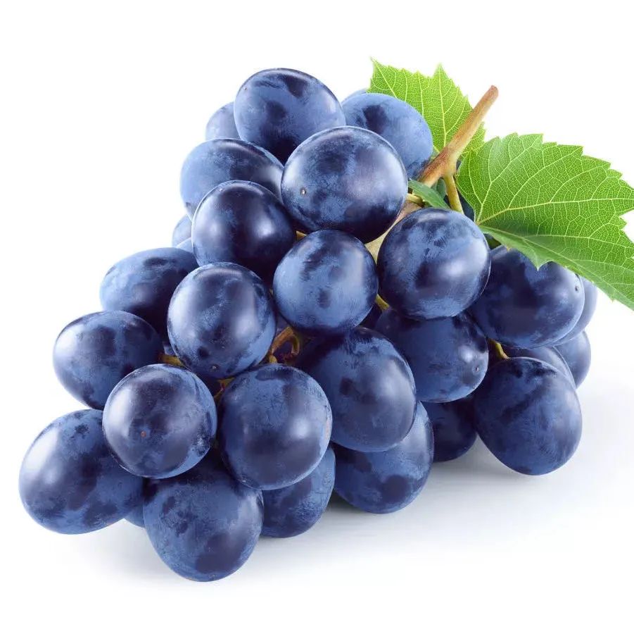 适合瘦身的食物和水果,什么水果瘦身肚子