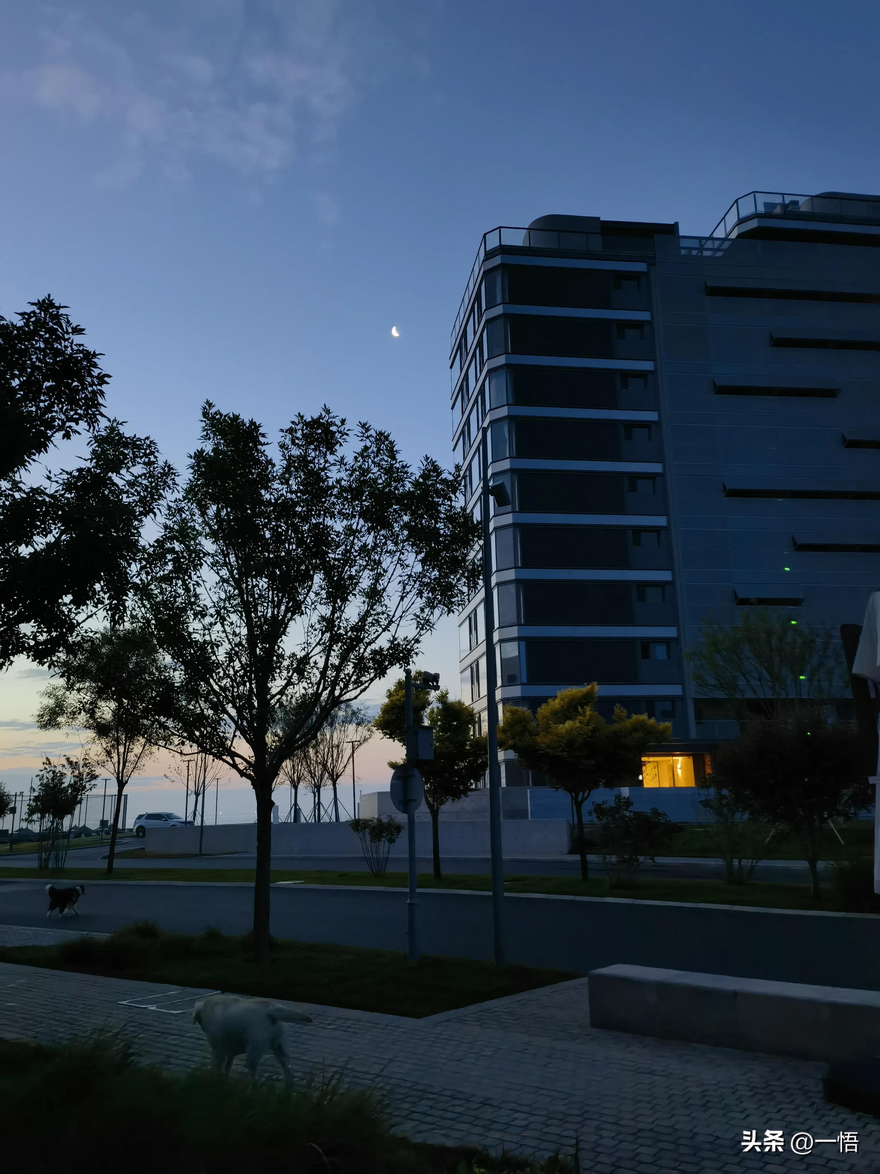 2023上海到秦皇岛承德十日游第四天：看阿那亚的海，逢犬舍的安娜