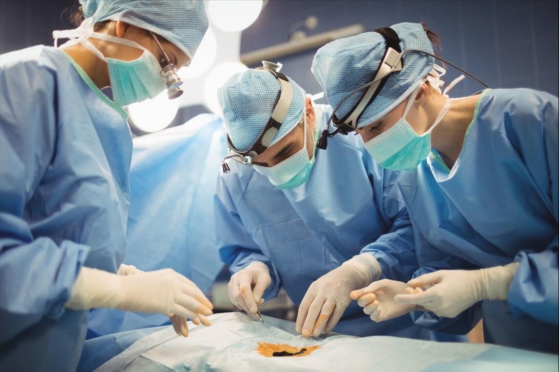 阴毛有什么用，要不要刮掉？阴毛的变化可能暗示什么疾病？望了解