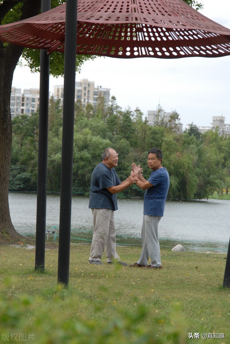 八十五式杨氏太极拳推手下势分解,陈式太极拳单推手教学