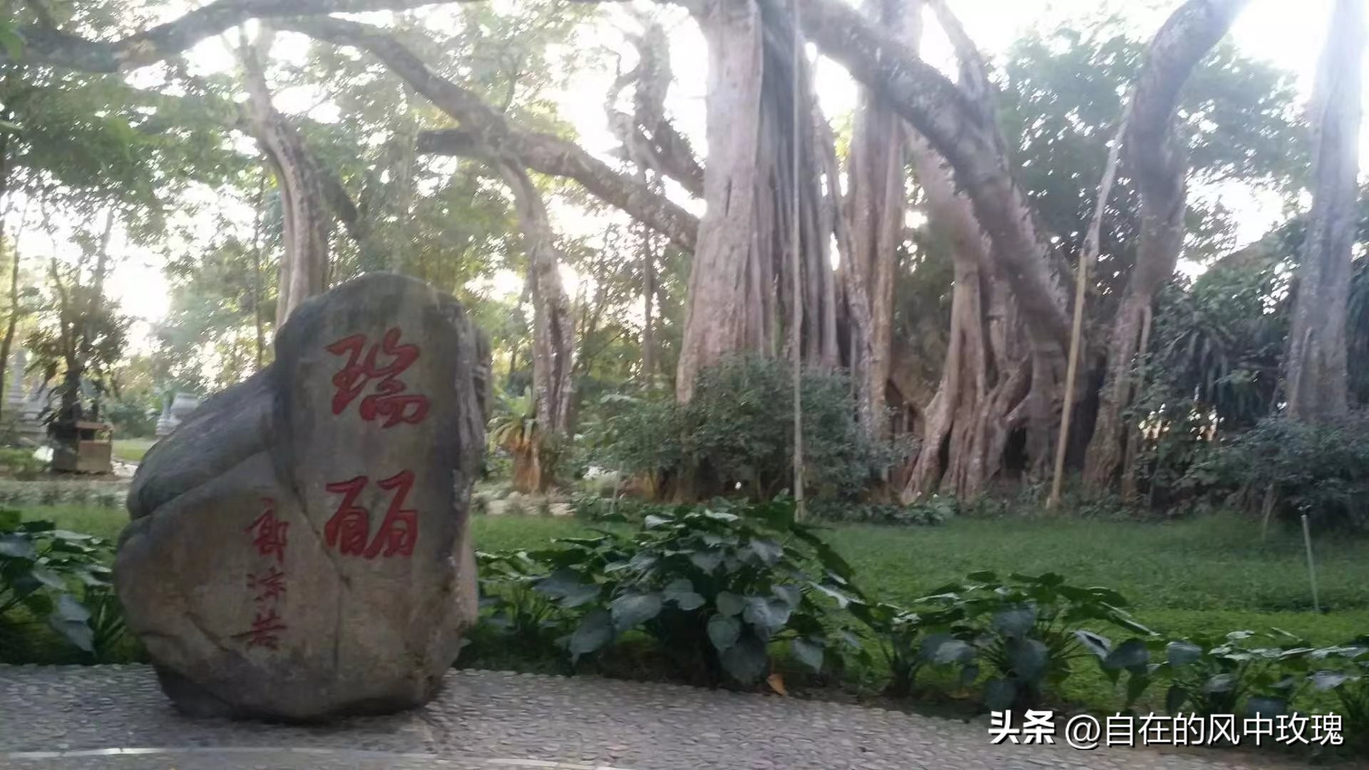 昆明腾冲瑞丽芒市六日游,腾冲瑞丽芒市旅游安全吗