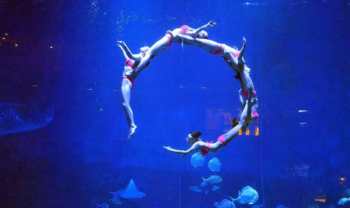 游客三亚潜水被强制拍照,三亚潜水游客遭强行推销求线索