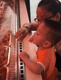 新手为什么不养鳄龟,养了一年的鳄龟怎么一点都不凶