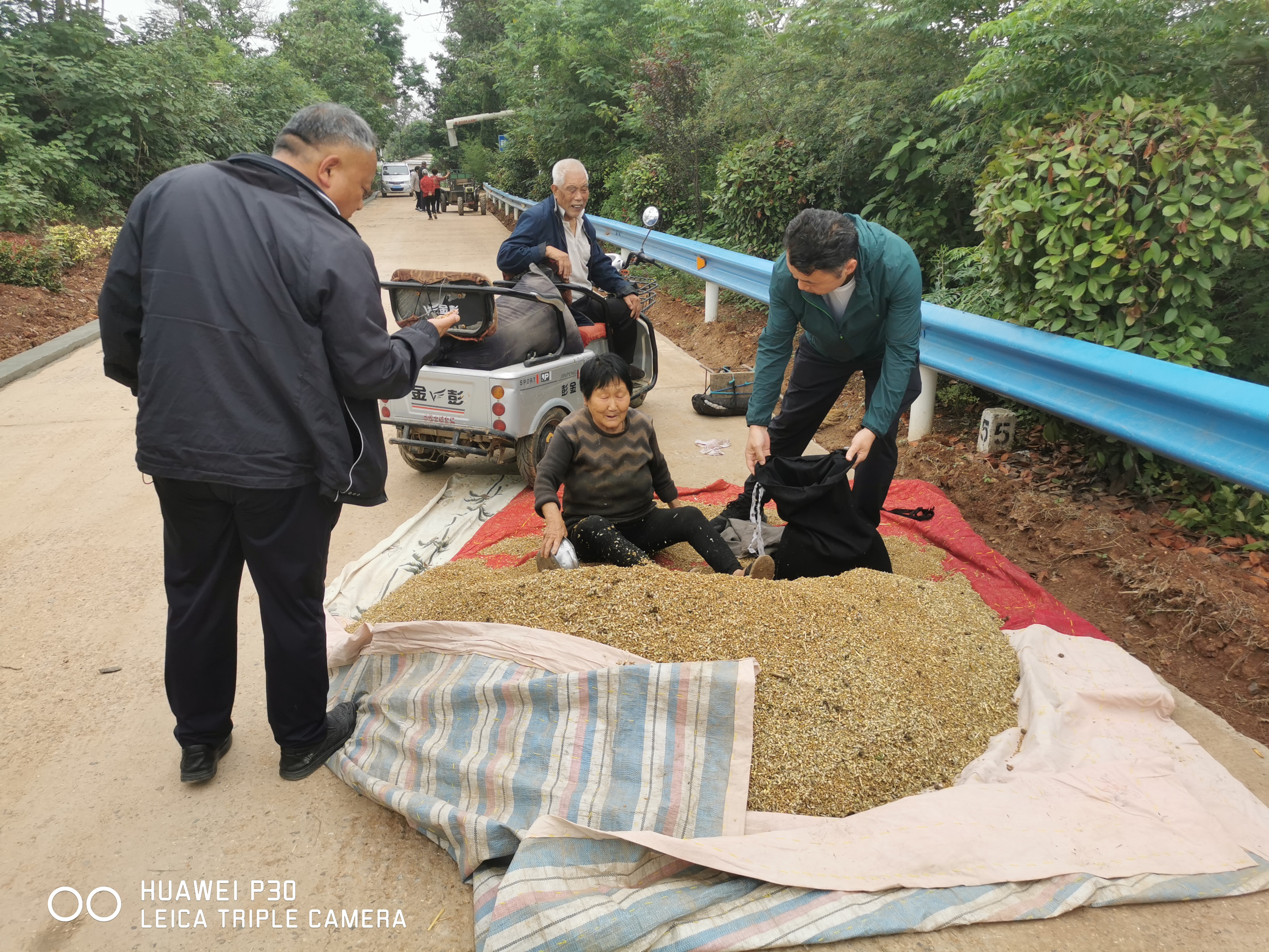 小麦发霉变黑怎么办,小麦发芽了用什么药能补救