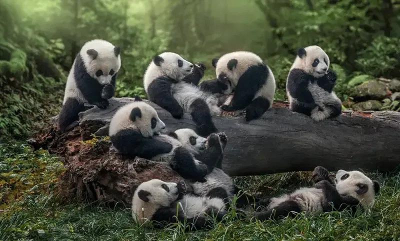 幽默爆笑笑话100个搞笑段子,幽默笑话搞笑段子100篇