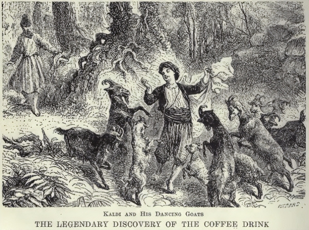 改变世界的小豆子——咖啡简史