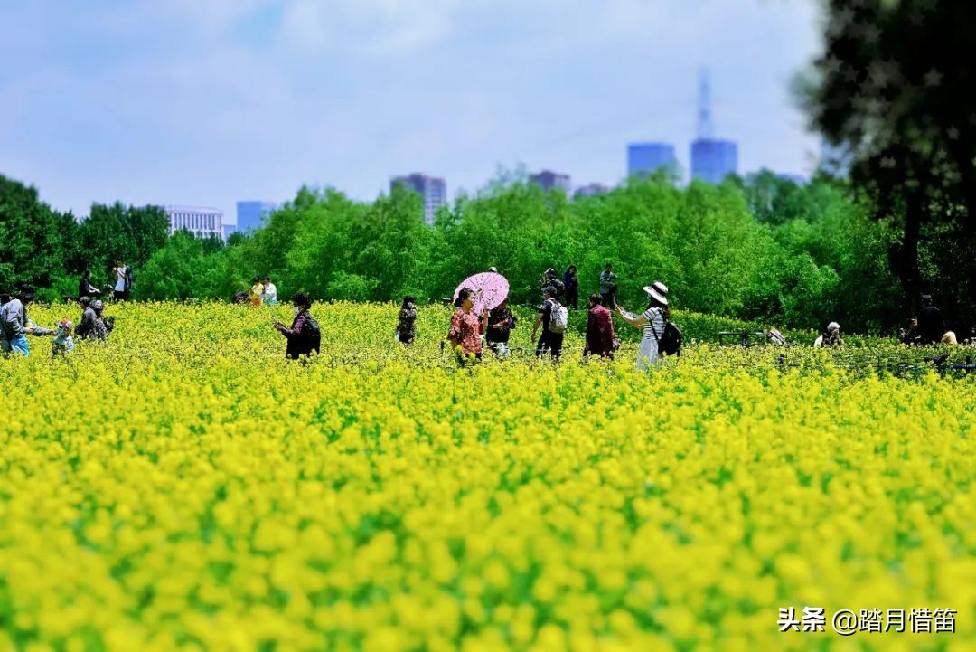 东北沈阳疫情最新通报,东北沈阳疫情