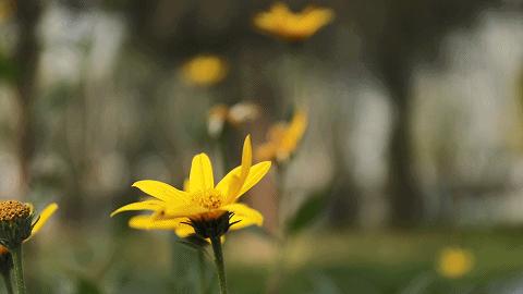 京张铁路遗址公园再添打卡地,京张遗址公园一期示意图