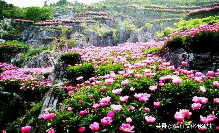 安徽有哪些旅游景点推荐,安徽有哪些旅游景点值得一去