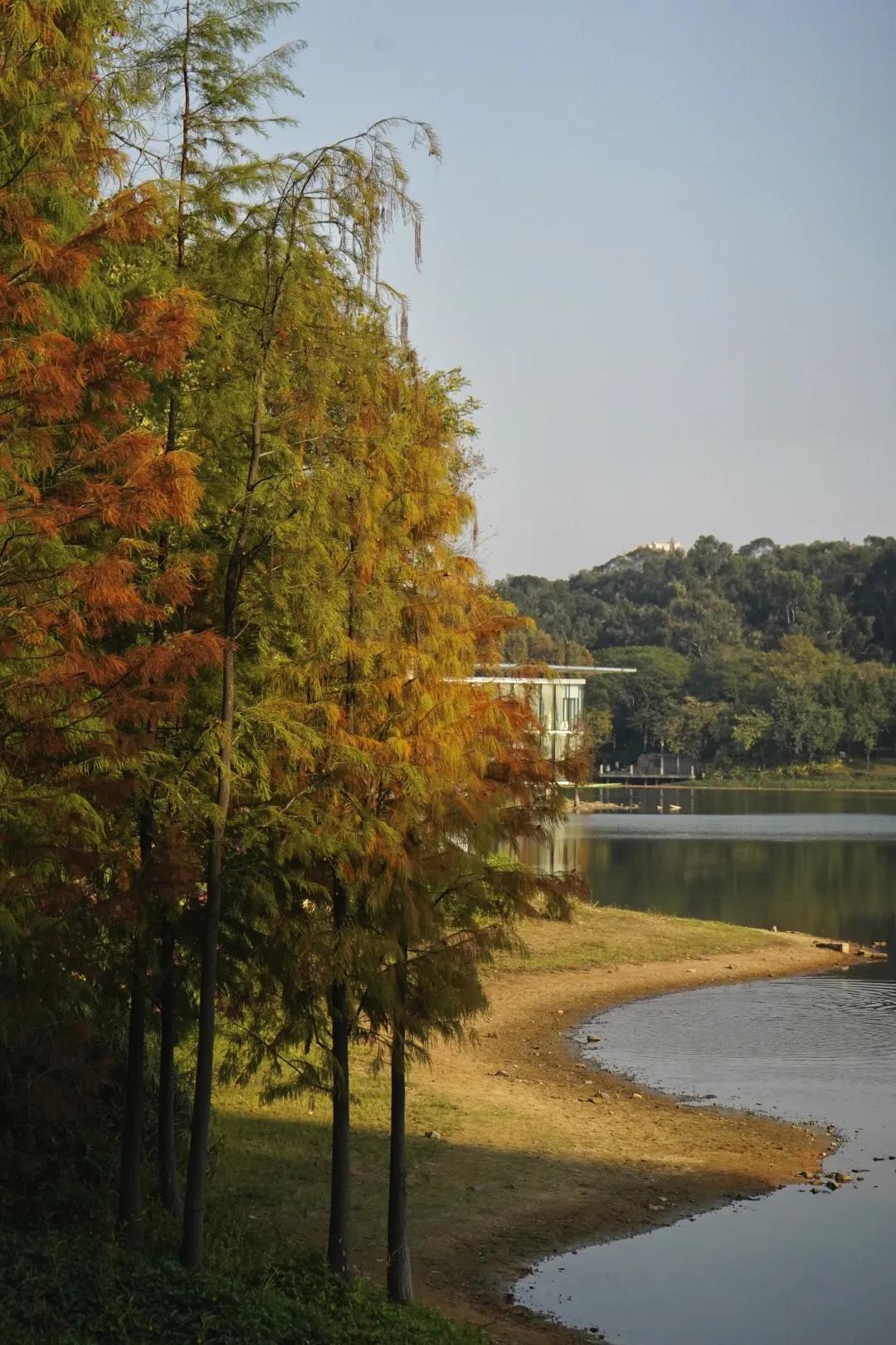 2021广州打卡必去的地方,广州必打卡的十个免费景点