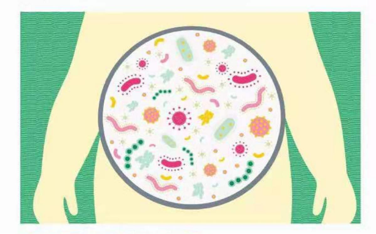 滴适宝：盛夏将至益生菌助力儿童预防肠胃疾病