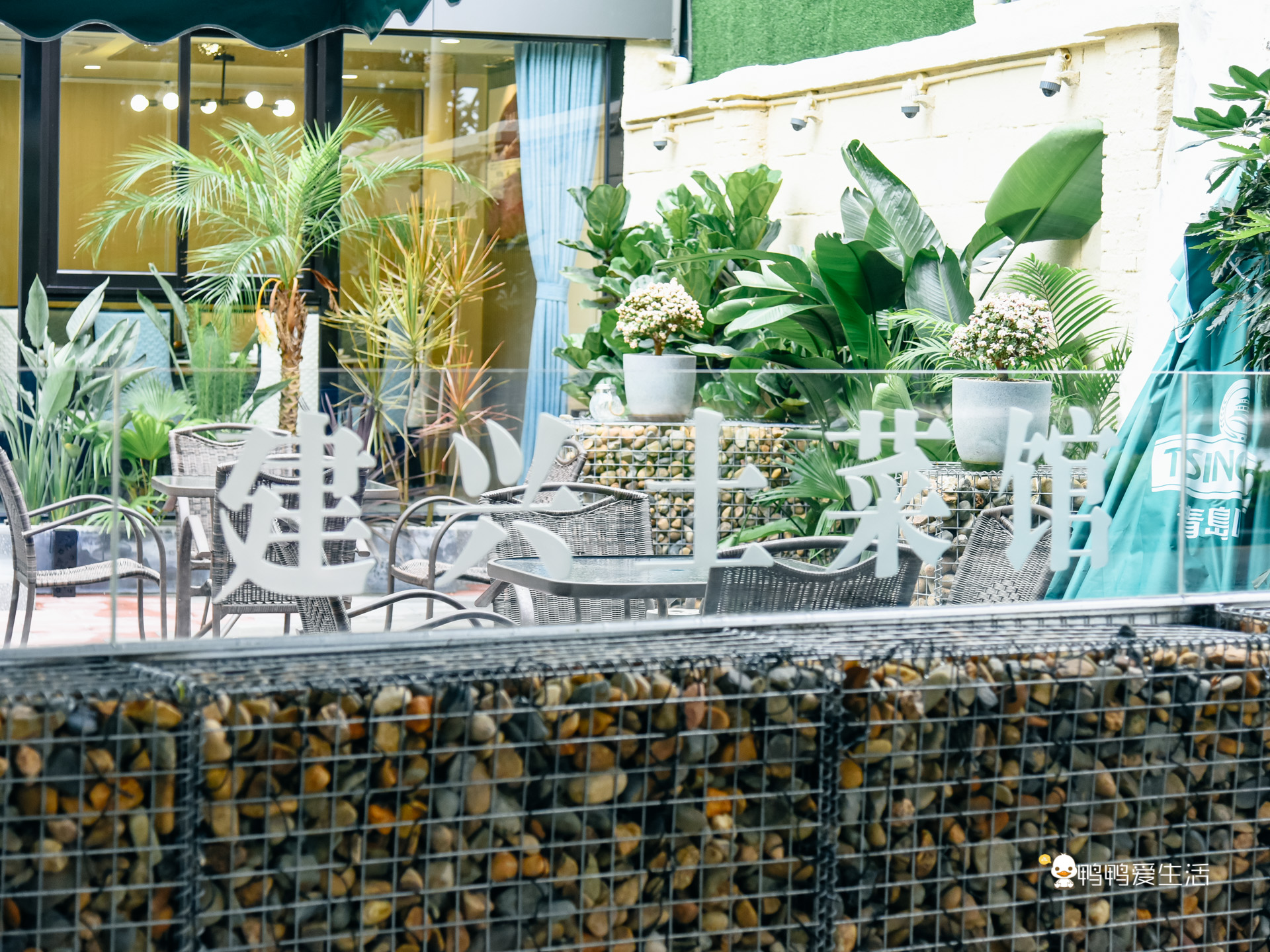 老厦门人都知道的四里建兴，开业近40年，红花蟹还能一蟹六吃