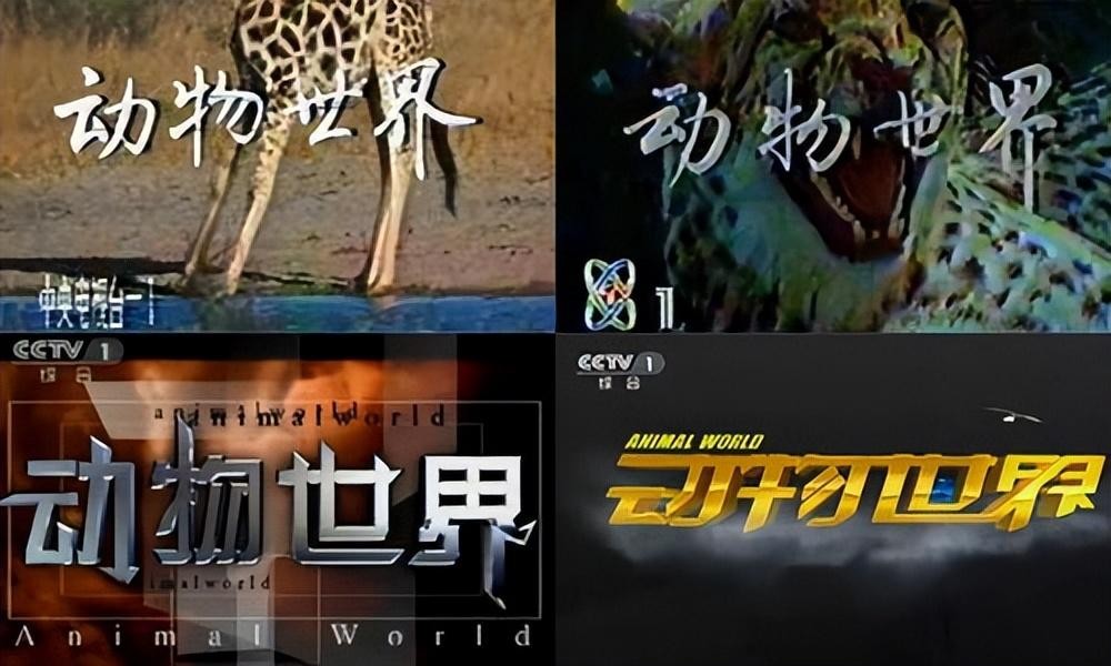 赵忠祥去世了么,赵忠祥死后遗产留给谁