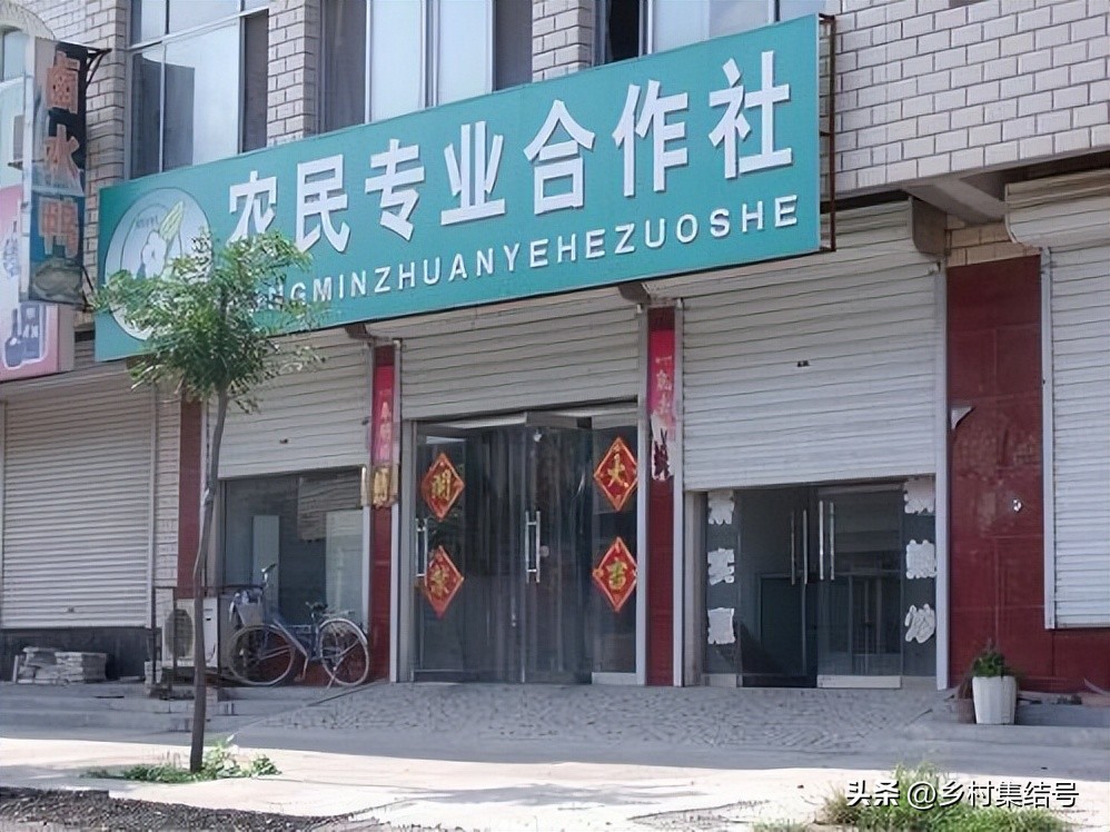 合作社新型农业主体典型案例,合作社农户发展经典模式