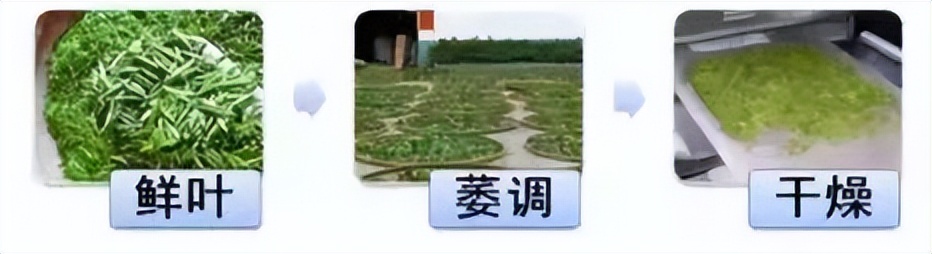 茶叶种类大全大红袍,茶叶的种类口感介绍