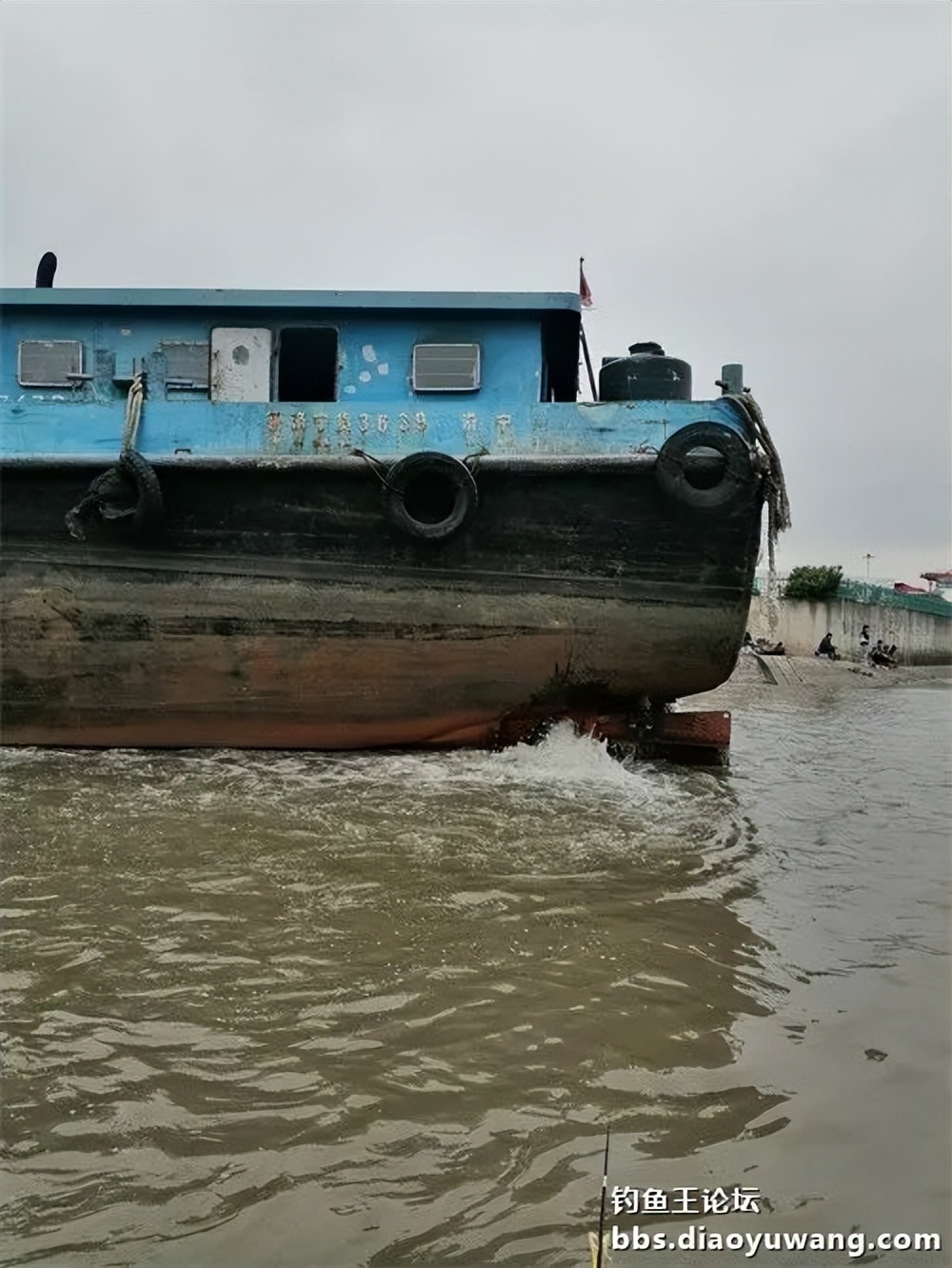 钓鱼王大鲫饵料是什么香味,钓鱼王大鲫和本味有什么区别