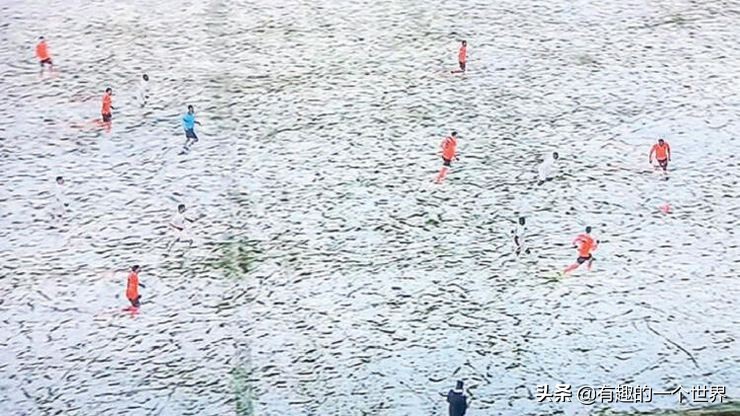 偶然记录的33个瞬间，初看很困惑，看懂后又觉得很妙