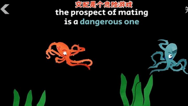 章鱼到底是地球生物还是外星生物,章鱼是外星生物竟然有三颗心脏