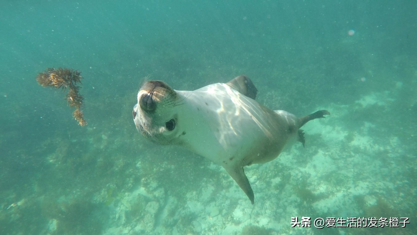 一路向北全程1980公里,西澳自驾游最佳路线图