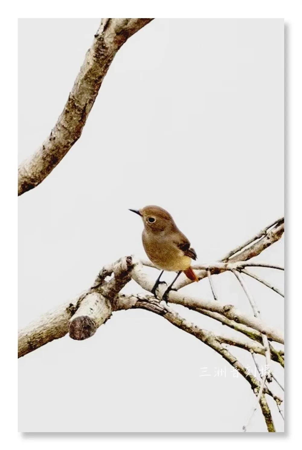 上海市嘉定区安亭国际汽车城,上海嘉定安亭国际汽车城