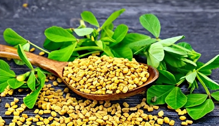 常腹痛拉肚子？光健脾可不行！一个妙方只三味药，扫清瘀浊止腹泻