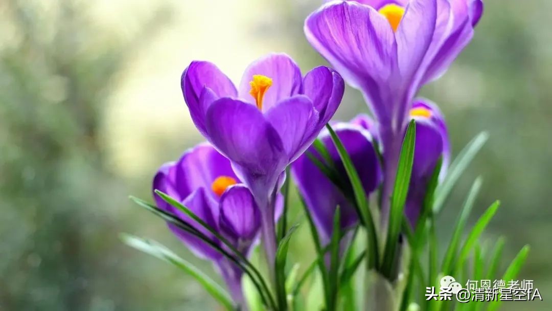 如何获得源源不断创作灵感,需要深厚的写作功底和灵感