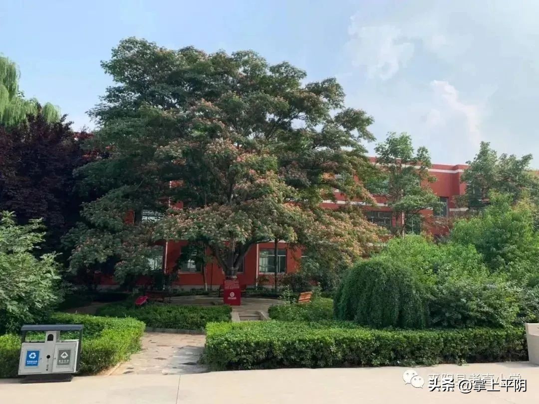 乡村温馨校园建设典型案例,乡村温馨校园优秀案例