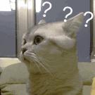 脚踝疼痛别大意，警惕这个疾病找上门！