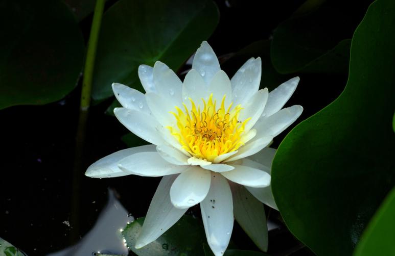 有佛缘的六种人,一个人有没有福报看哪里