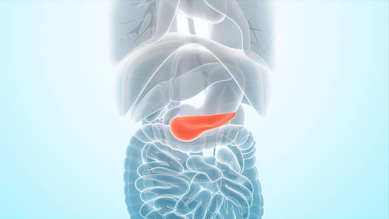 人体中六个最没用的器官,人体消失的七种器官