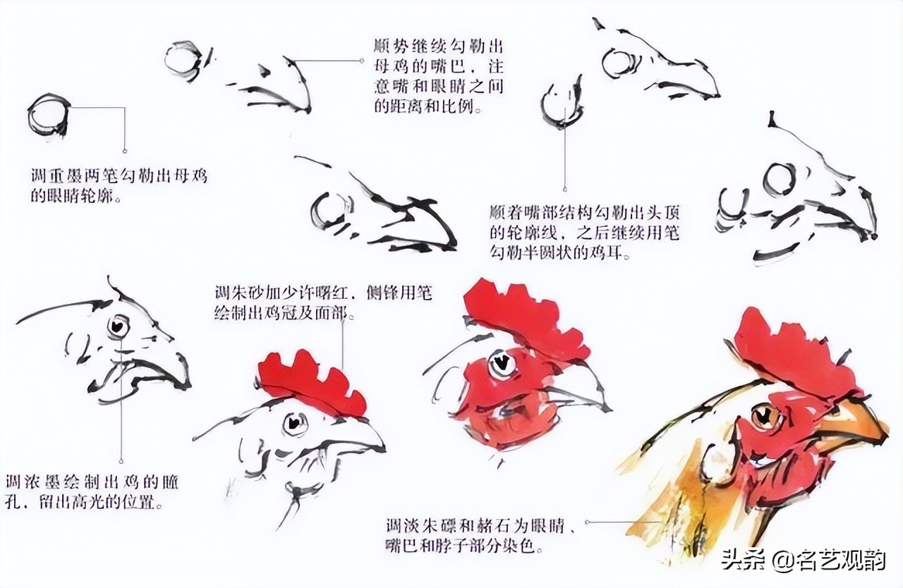 十二生肖鸡画法步骤,鸡的画法简笔画步骤