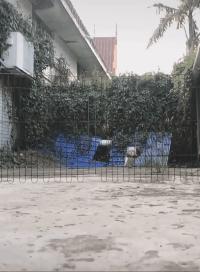 改作业的东西取不出来怎么办,改作业时油溅在作业上