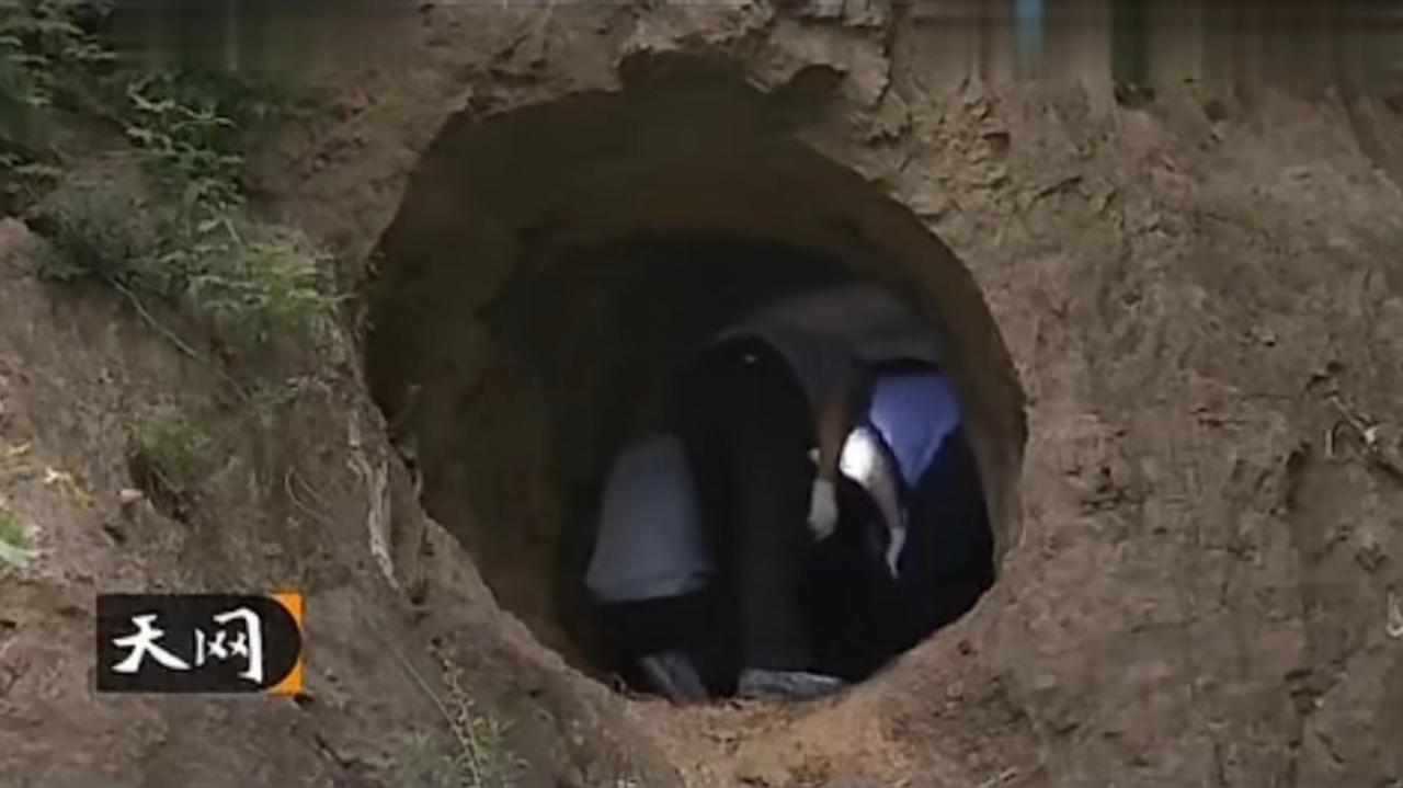 不敢再看的*案惨**：一群毫无人性的渣滓，折磨新婚夫妇长达八小时！