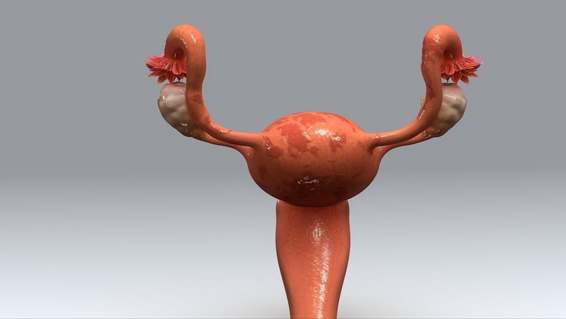 隐私部位长痘该怎么治疗,私部长痘痘是什么原因