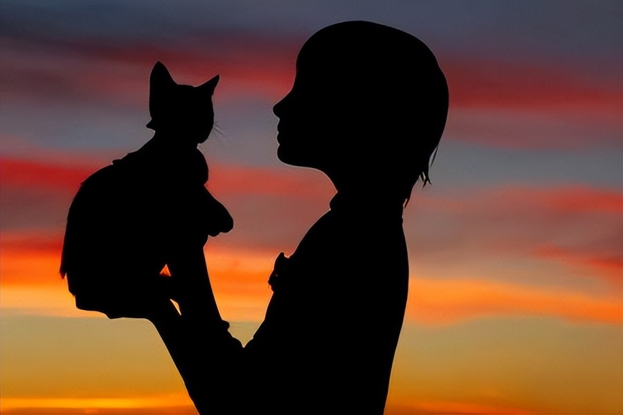 猫咪正常体重对照年龄阶段,猫咪年龄怎么看图解