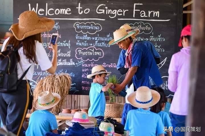 泰国清迈有什么好项目,泰国清迈旅行项目