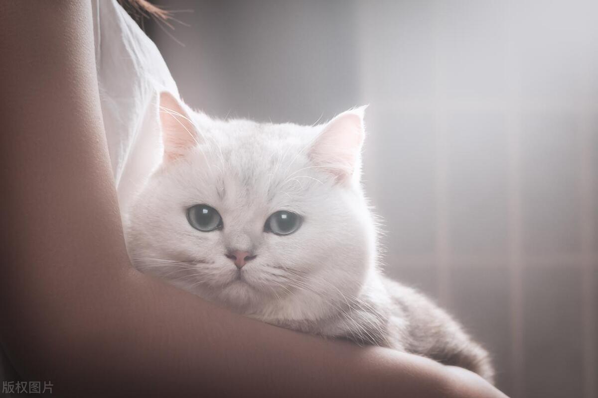 一个电话诈骗4万元,一个电话诈骗5万元