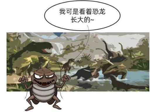 自制消灭蟑螂蚂蚁蚊子的小妙招,厕所的蟑螂怎么消灭最彻底小妙招