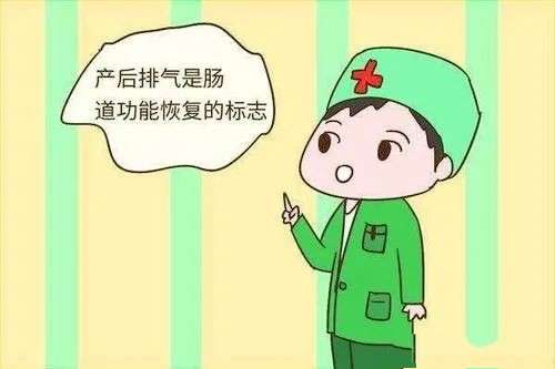剖腹产助排气的食物,剖腹产术前吃什么有利于术后排气