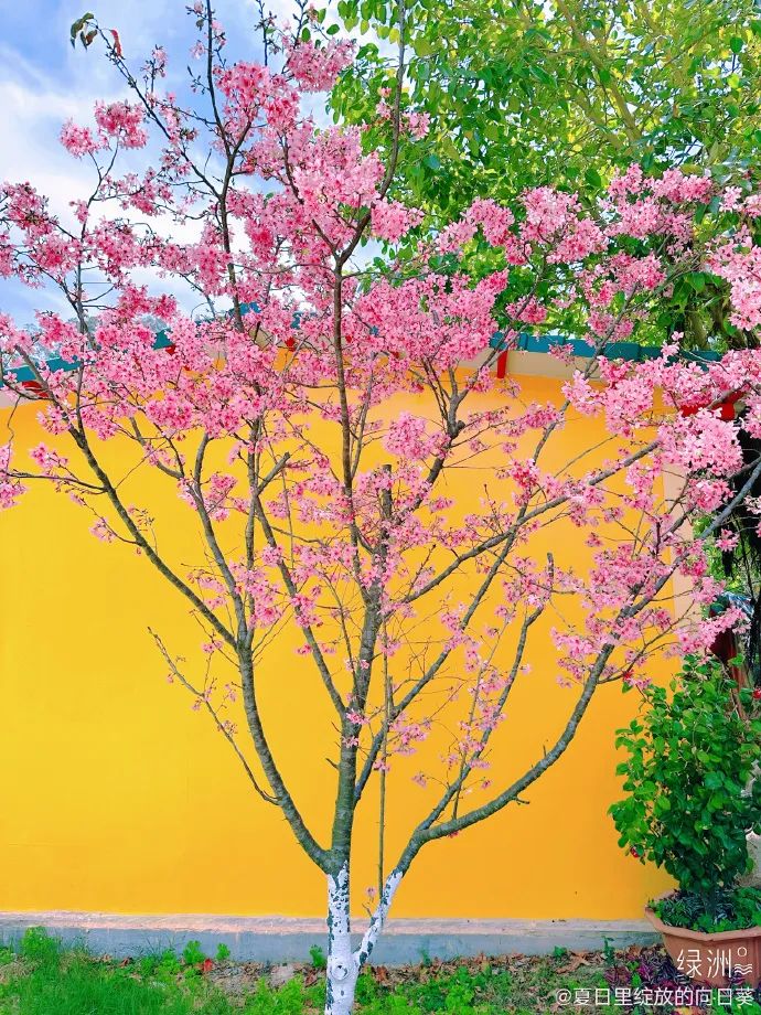 香港新晋的明星,现身厦门的香港明星