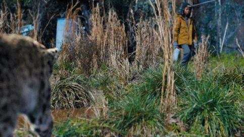 烂到无力吐槽！DC啊，你到底被谁绑架了？